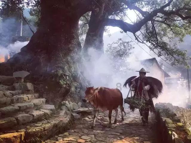 爱的魔力